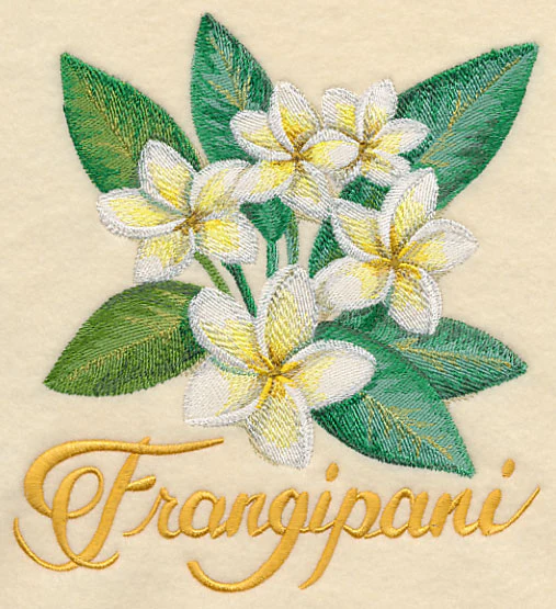 Frangipani in Watercolor - Image 4