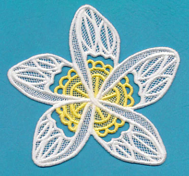 Frangipani (Lace) - Image 2