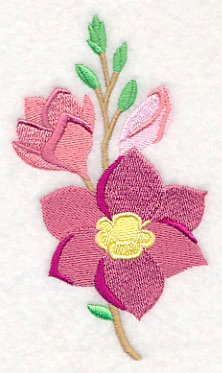 Freesia Bloom - Image 4