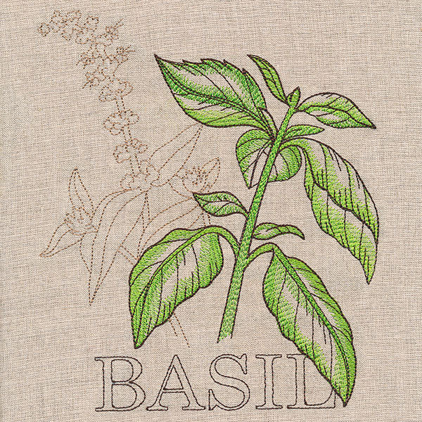 Fresh Basil Medley