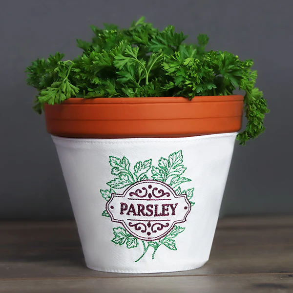 Fresh From the Garden - Parsley - Image 4