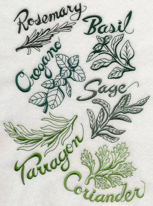 Fresh Herbs - Image 4
