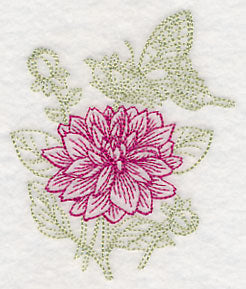 Garden Dahlia Etching - Image 5