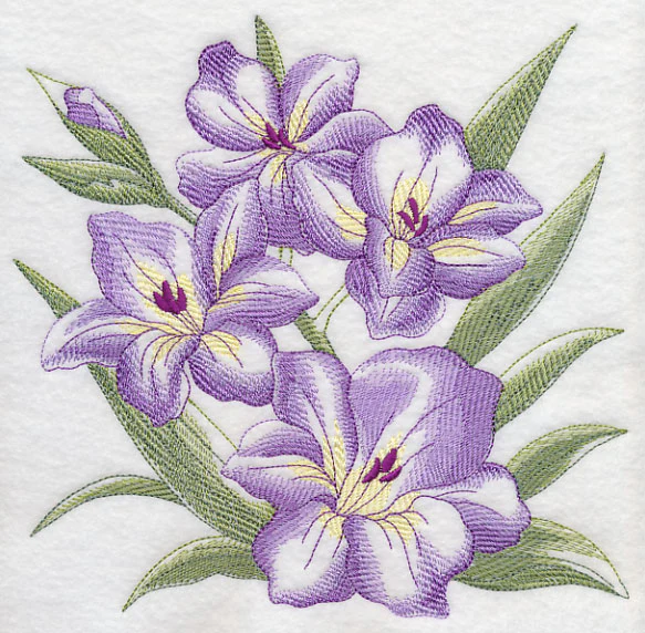 Gladiolus Sketch - Image 6