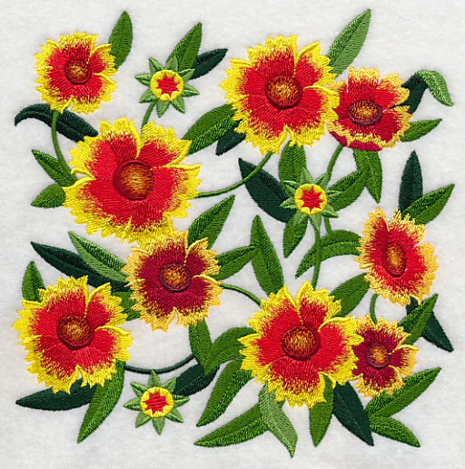 Goblin Blanket Flower Blossoms - Image 3
