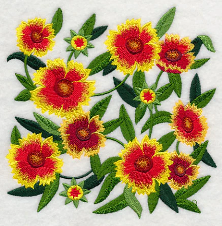 Goblin Blanket Flower Blossoms - Image 4