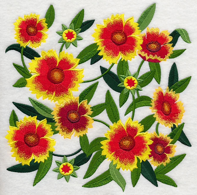 Goblin Blanket Flower Blossoms - Image 6
