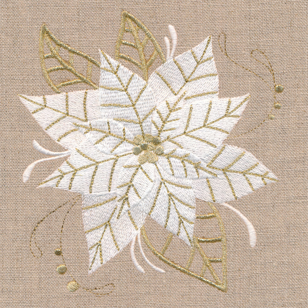 Golden Glamour Poinsettia - Image 3
