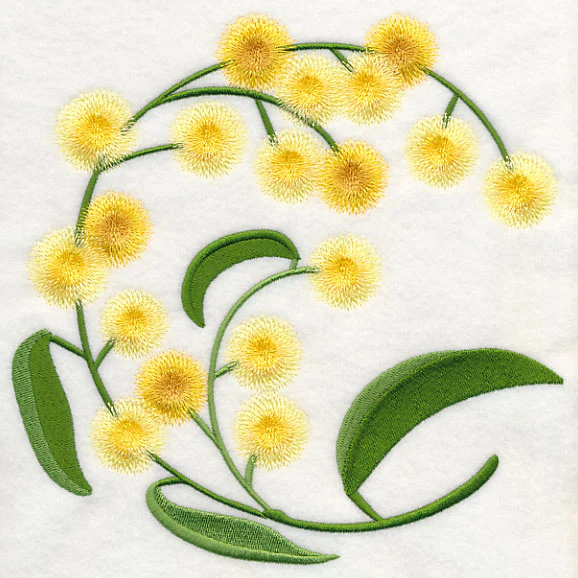 Golden Wattle