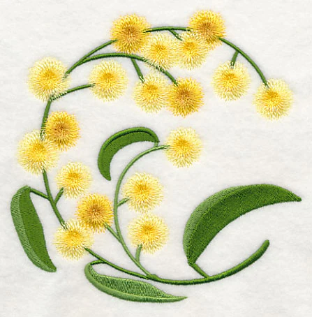 Golden Wattle - Image 3