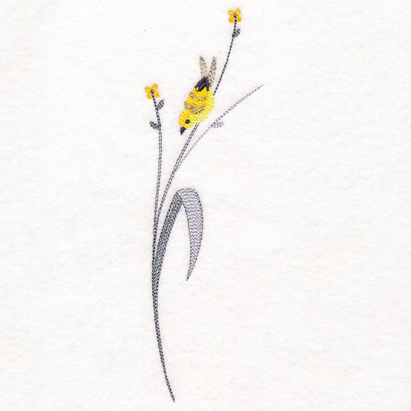 Goldfinch and Fields Accent