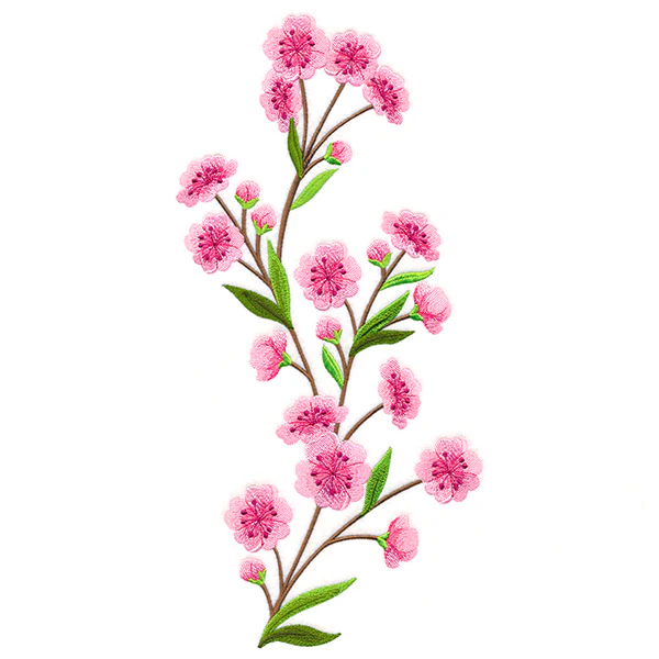 Graceful Cherry Blossoms - Tall - Image 5
