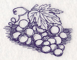 Grapes Etching - Image 4