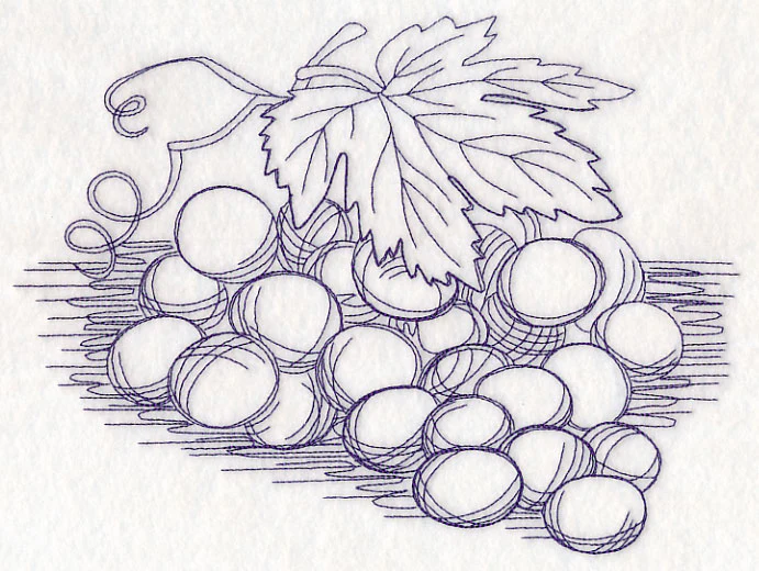 Grapes Etching - Image 5