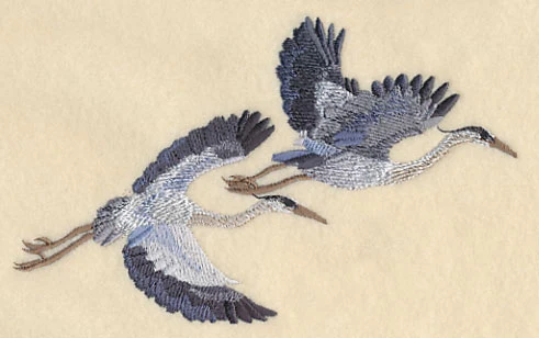 Great Blue Herons in Flight - Image 3