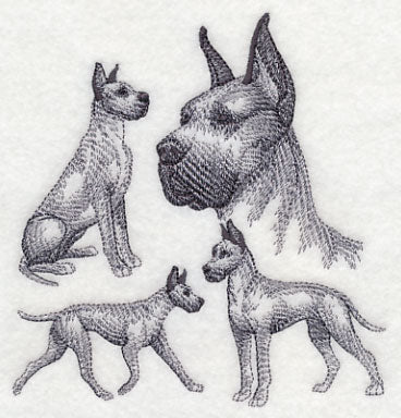 Great Dane Sketch (Cropped Ears) - Image 4