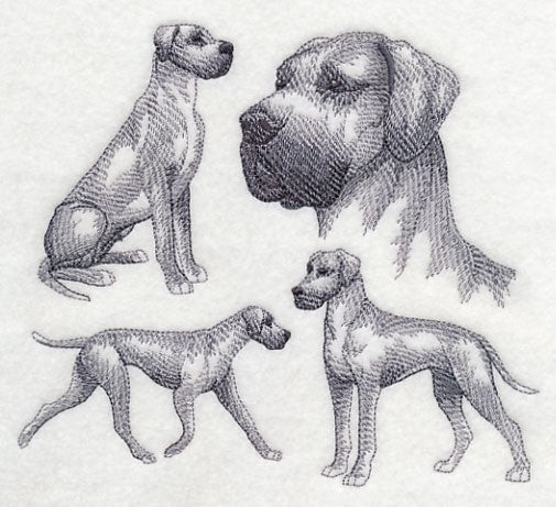 Great Dane Sketch (Full Ears) - Image 2