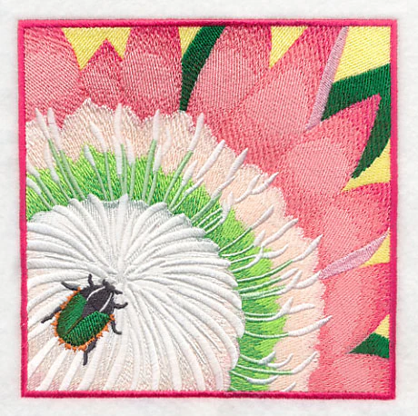 Green Protea Beetle on Protea Flower - Image 3