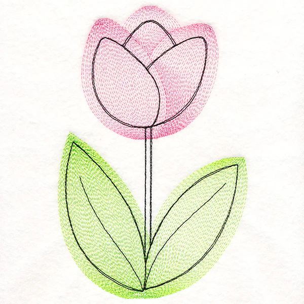 Growing Garden Tulip - Image 3