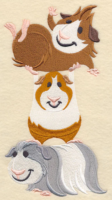 Guinea Pig Stack
