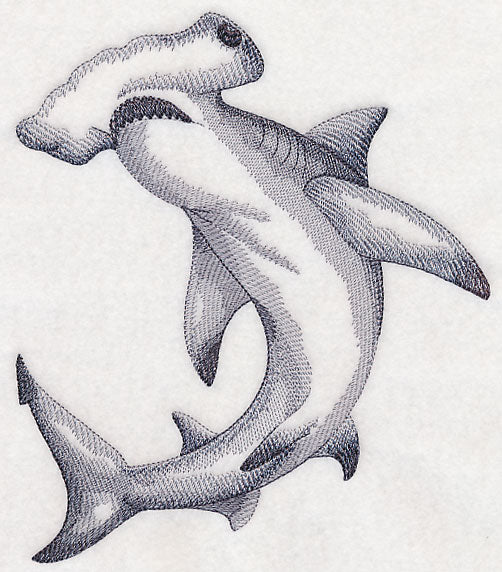 Hammerhead Shark Sketch - Image 4