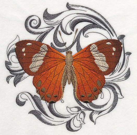 Harlequin Metalmark with Baroque Background - Image 2