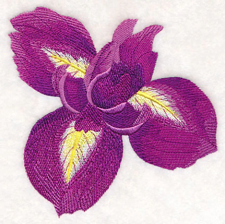 Heart of Irises Single - Image 4