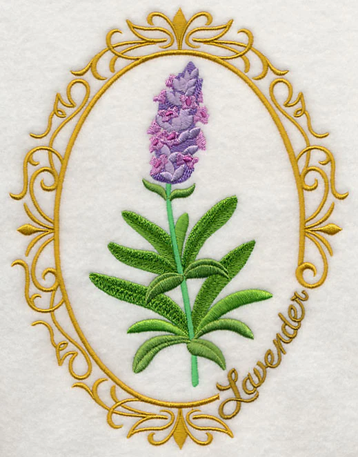 Herb Cameo - Lavender - Image 4