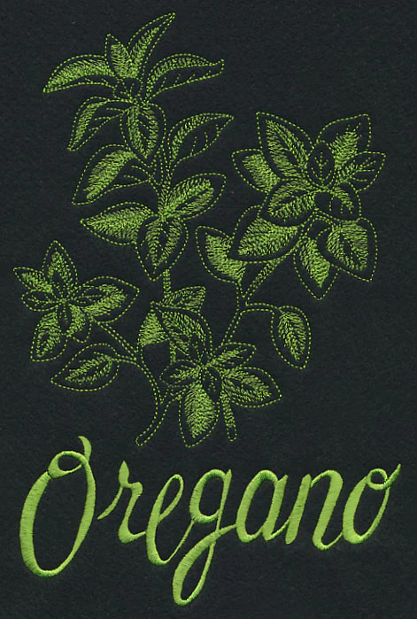 Herb Sketch - Oregano - Image 4