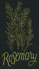 Herb Sketch - Rosemary - Image 3