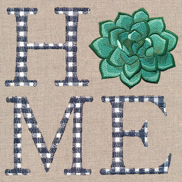 Home with Succulent