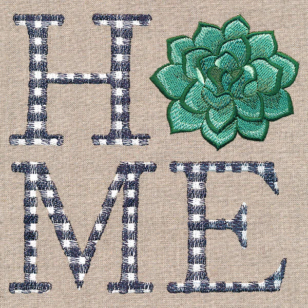 Home with Succulent - Image 3