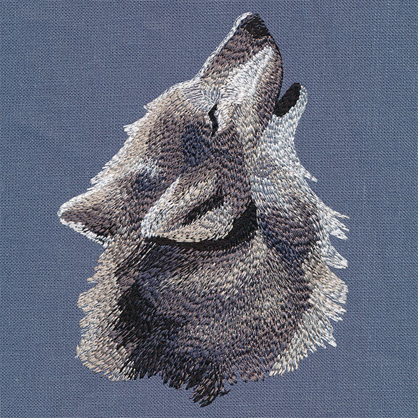 Howling Wolf Feature - Image 3