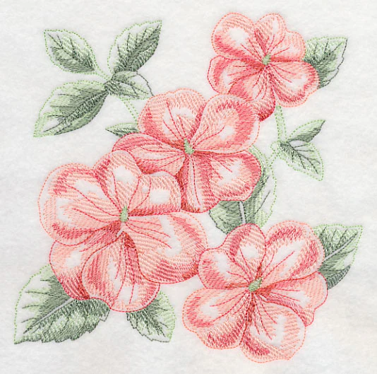 Impatiens Sketch - Image 2