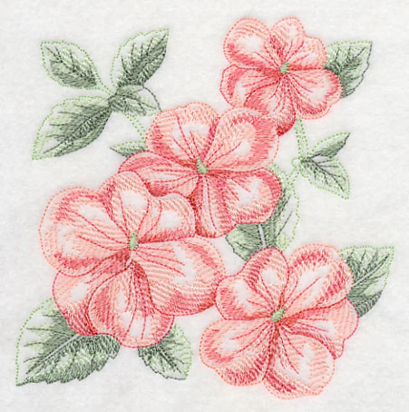 Impatiens Sketch - Image 3