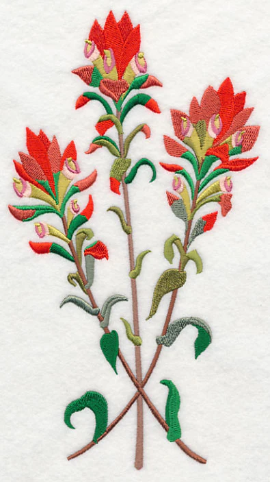 Indian Paintbrush 2 - Image 2