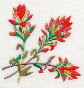 Indian Paintbrush Corner - Image 3