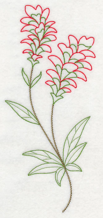 Indian Paintbrush (Vintage) - Image 2