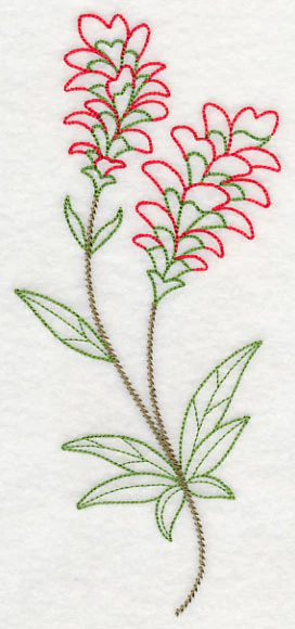Indian Paintbrush (Vintage) - Image 3