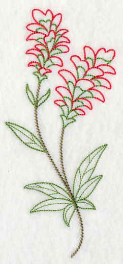 Indian Paintbrush (Vintage) - Image 4