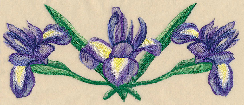 Iris Border in Watercolor - Image 5