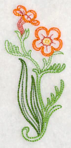 Jamesbrittenia Aurantiaca (Vintage) - Image 4