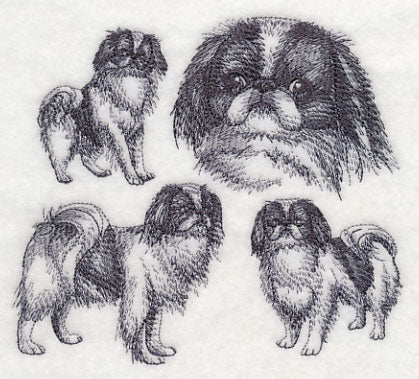 Japanese Chin Sketch - Image 3
