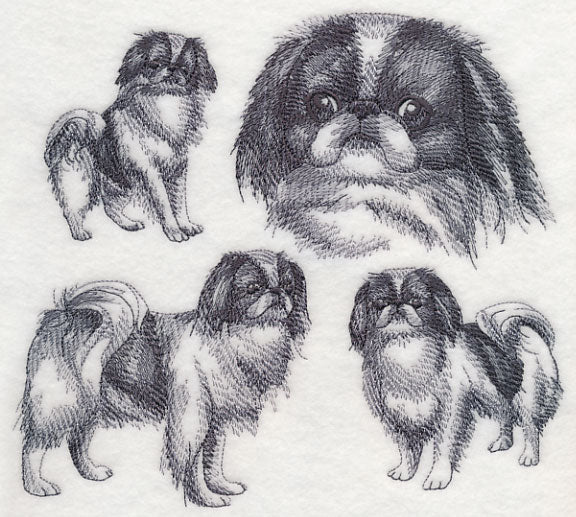 Japanese Chin Sketch - Image 4