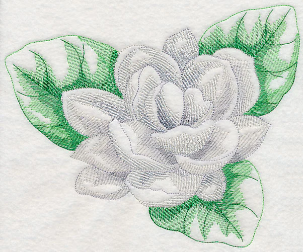 Jasmine Beauty