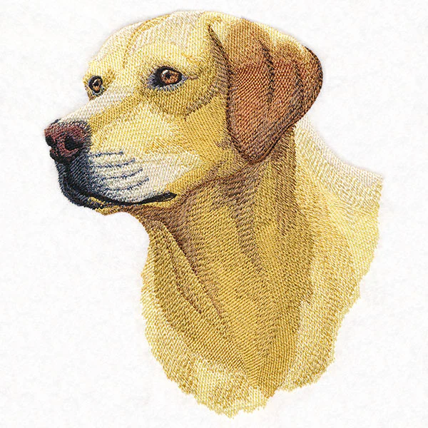 Labrador Retriever Portrait - Image 3