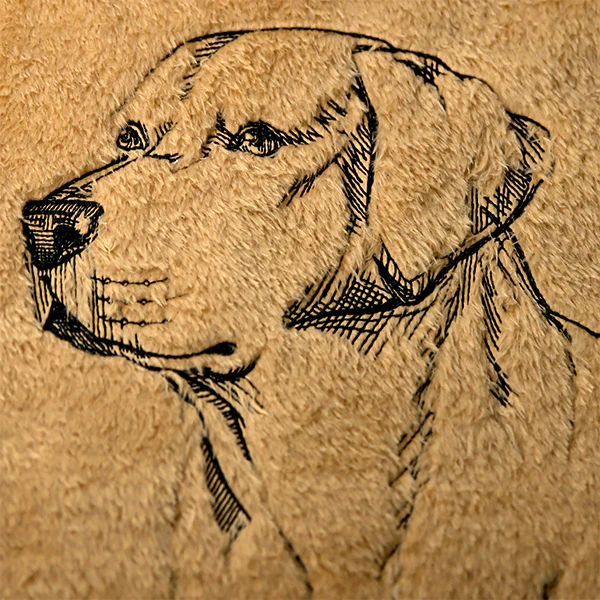 Labrador Retriever Portrait Etching - Image 6