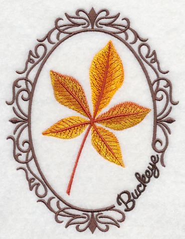 Leaf Cameo - Buckeye - Image 5