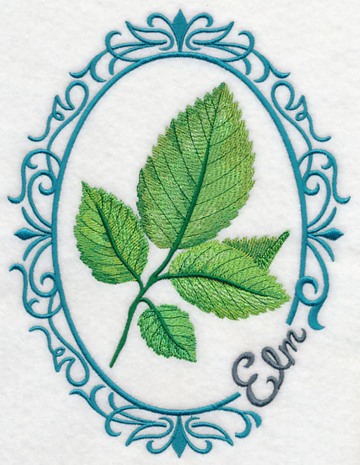 Leaf Cameo - Elm - Image 2