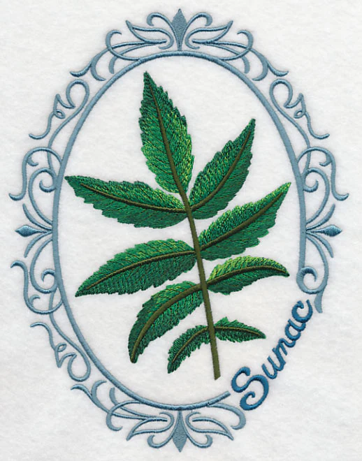 Leaf Cameo - Sumac - Image 2